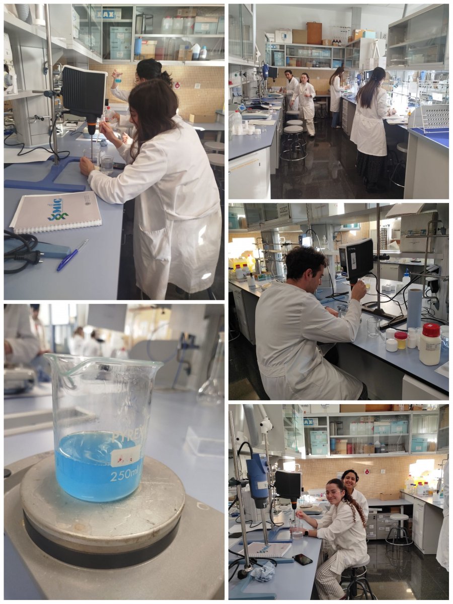 Taller de formas cosmticas