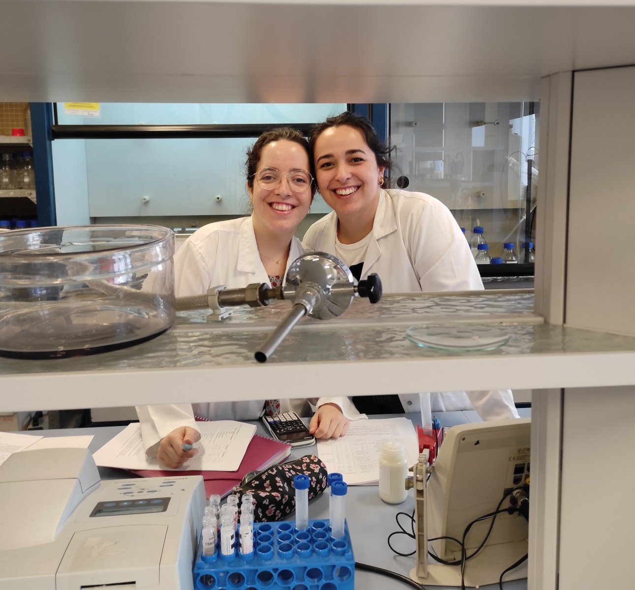 Equipo de formulacin en el MIC