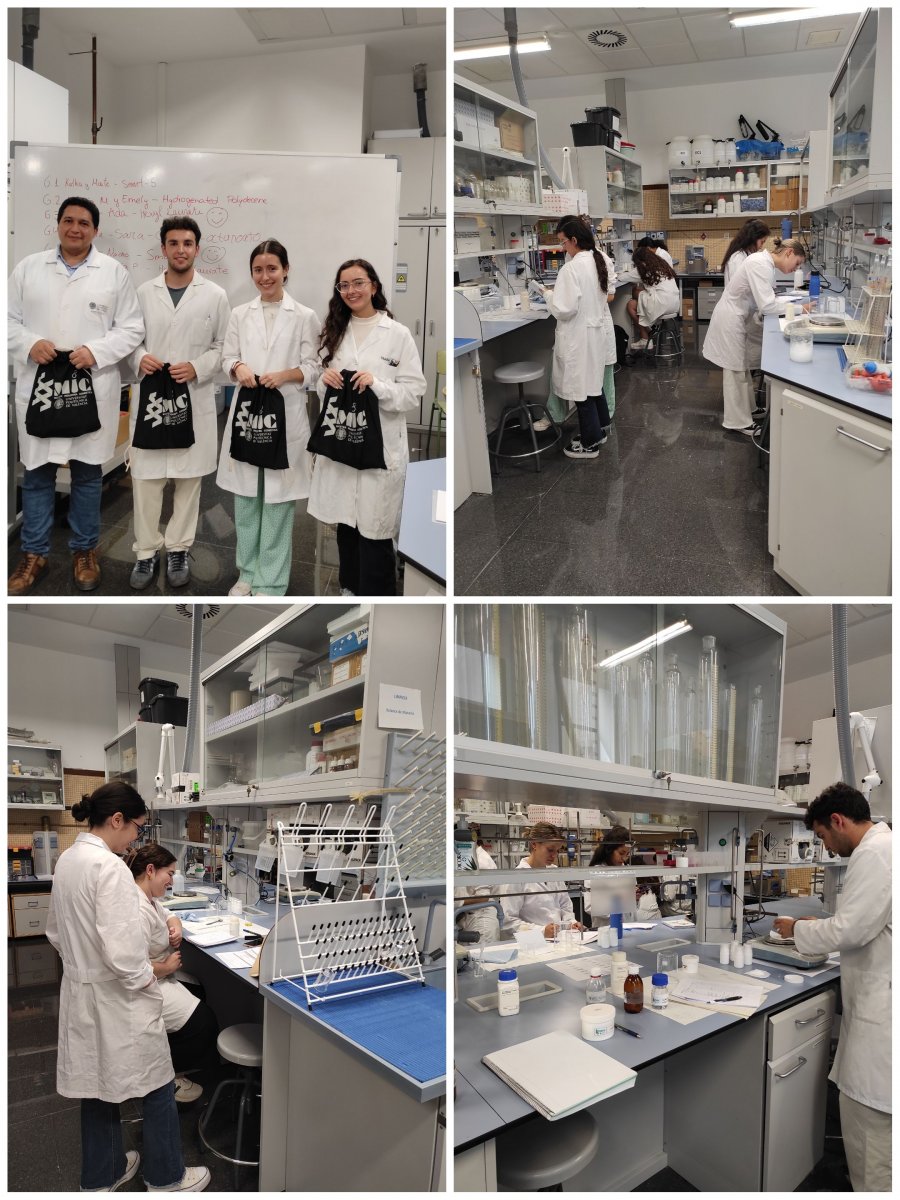 Taller formulacin MIC dcima edicin