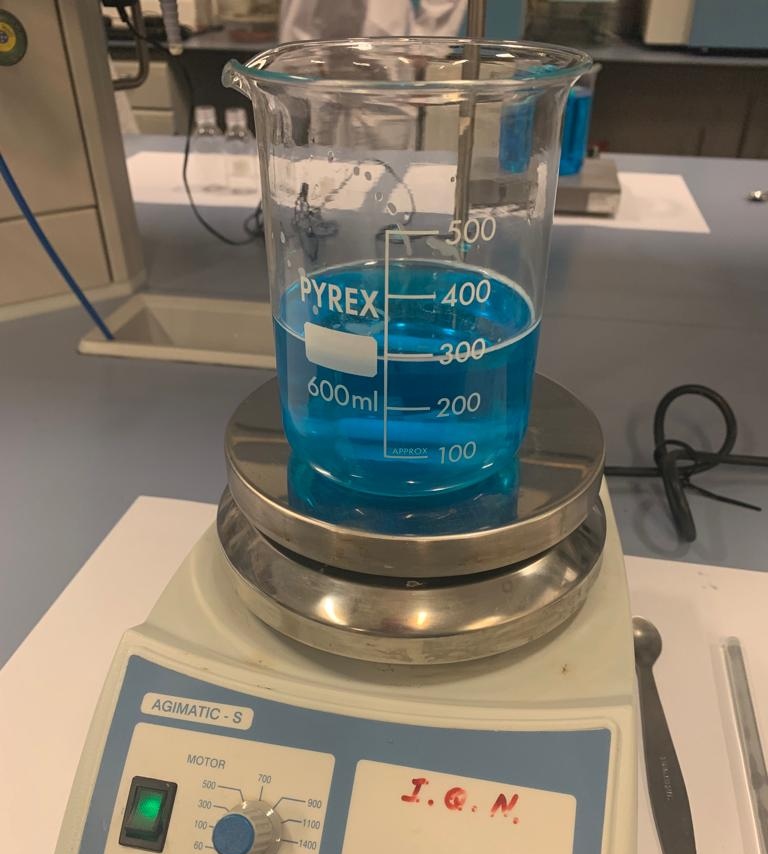 taller de cosm�tica oral en el MIC