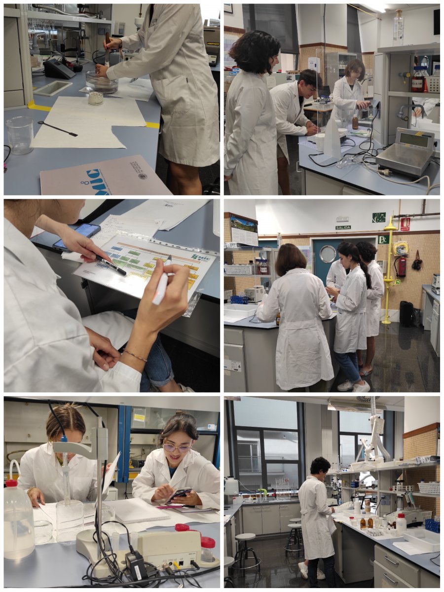 taller de formulacion con ADEKA