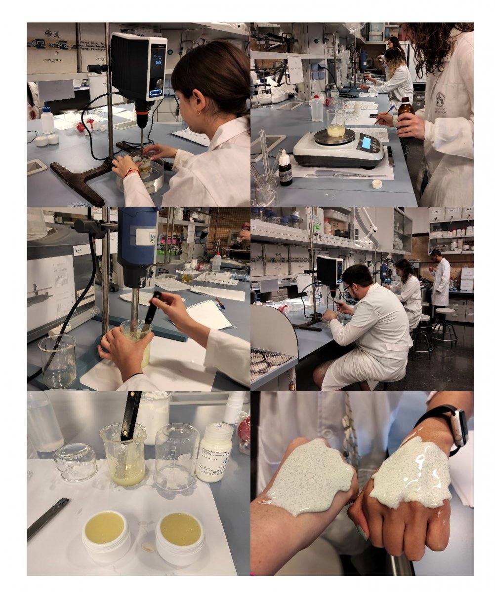 Taller de formulaci�n MIC